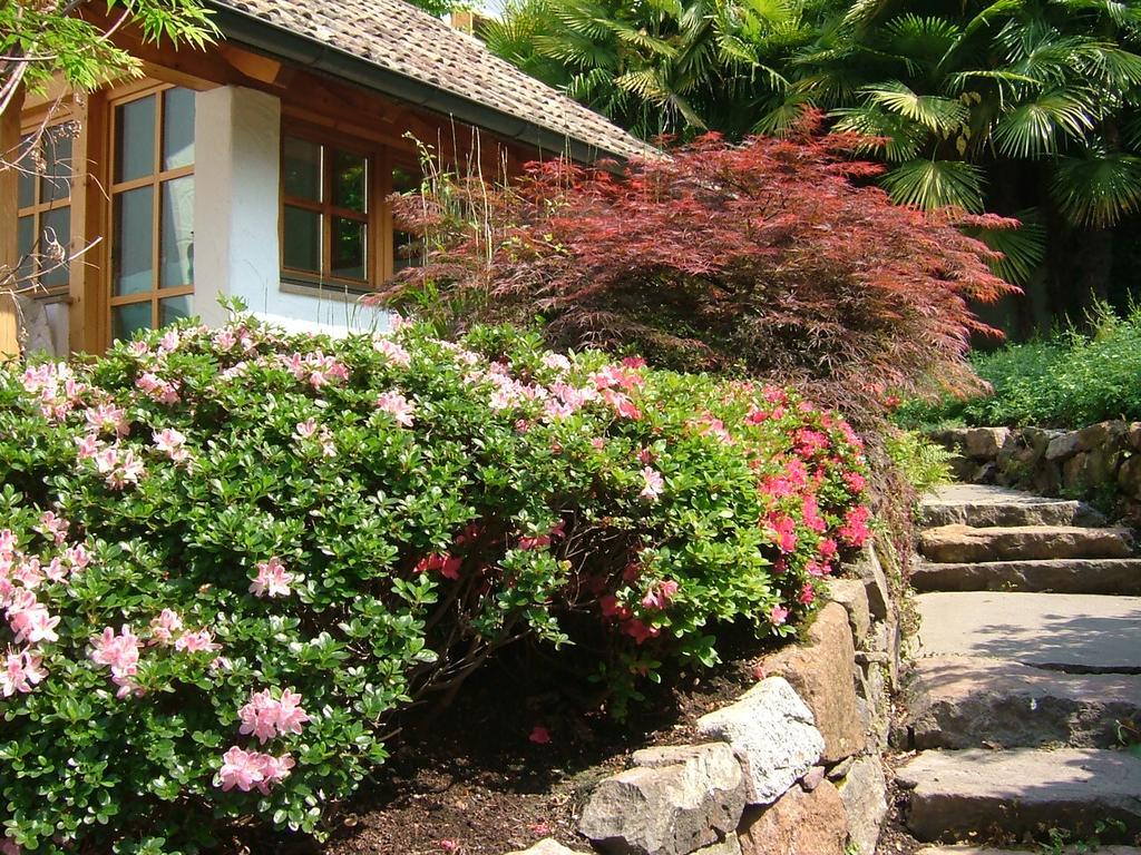 Villa Sissi 라이베스 외부 사진