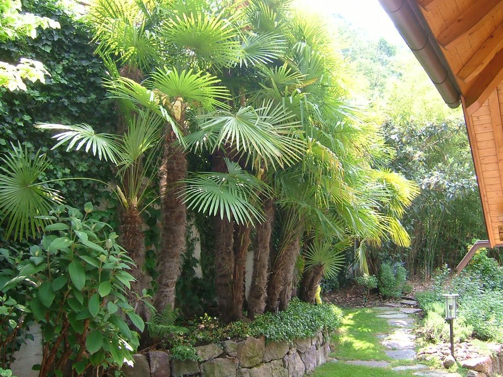 Villa Sissi 라이베스 외부 사진