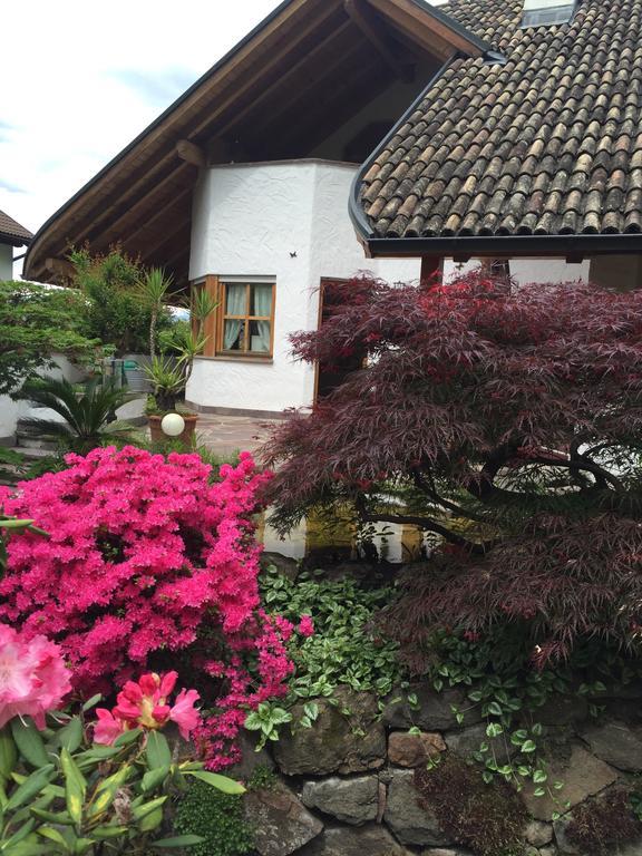 Villa Sissi 라이베스 외부 사진
