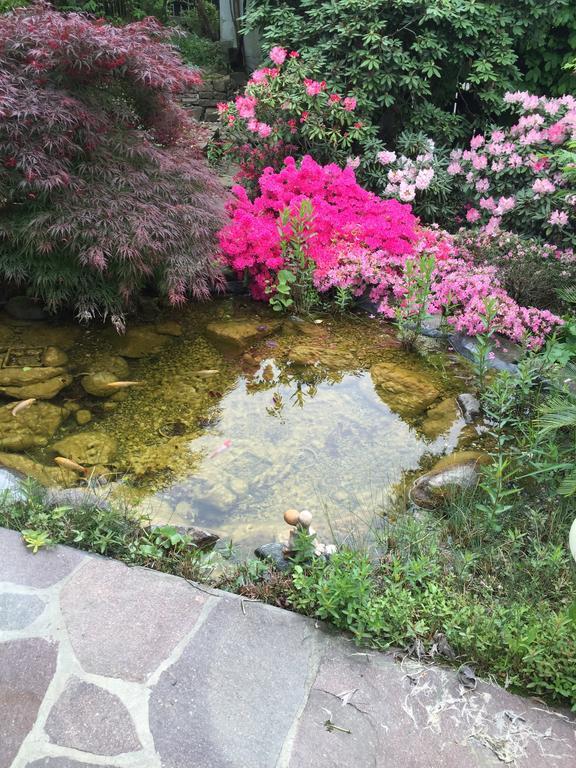 Villa Sissi 라이베스 외부 사진