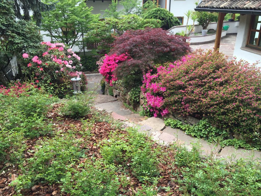 Villa Sissi 라이베스 외부 사진